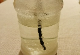 (photo)