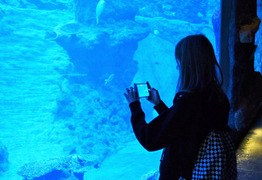  (photo)