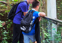  (photo)