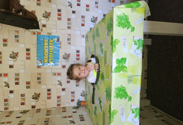  (photo)