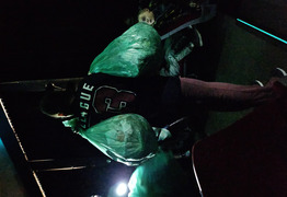  (photo)