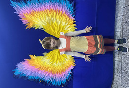  (photo)