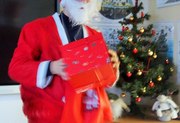 (photo)