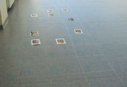  (photo)