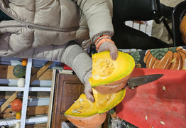 (photo)