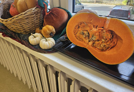 (photo)