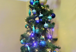 (photo)