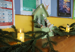 (photo)