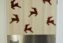 (photo)