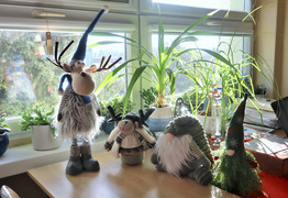 (photo)