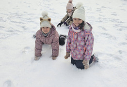 (photo)