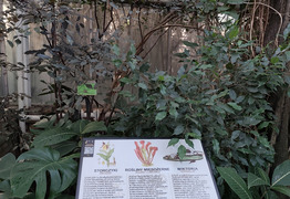 (photo)