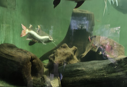 (photo)