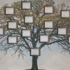 O drzewach genealogicznych klasy IVa